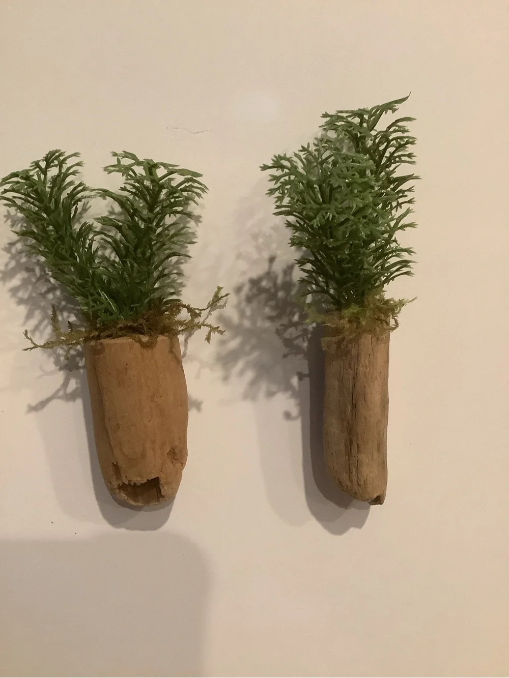 Driftwood Art, Driftwood Faux Plant Magnets, Driftwood Faux Greenery Coastal Art